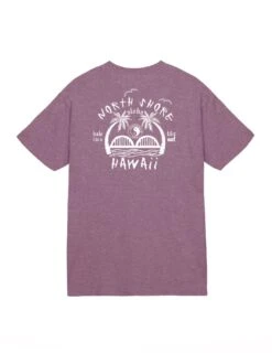 Anahulu Iwa Jersey Tee -T&C Surf Clothing 11379TeeMrnHtrBack 9ce6d28e 3979 49d5 a32e 5b614527d78d