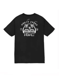 Anahulu Iwa Jersey Tee -T&C Surf Clothing 11379 Tee Black Back