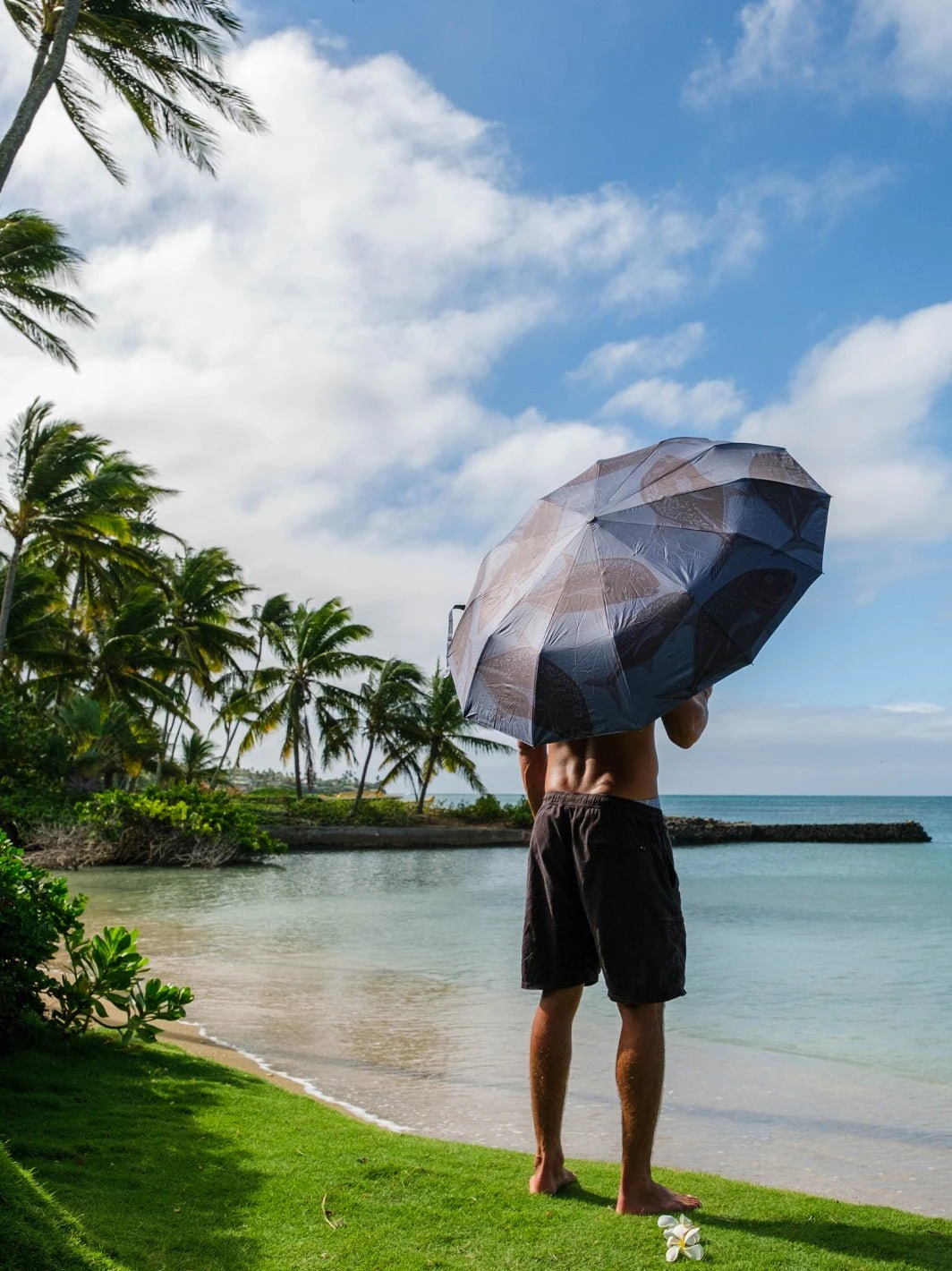 Ulua Flow Umbrella 1 Ulua Flow Umbrella