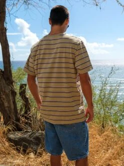 Australia Malibu Stripe Tee -T&C Surf Clothing 3935MalibuStripeClayLIFE2