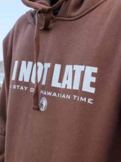 Hawaiian Time Hoodie -T&C Surf Clothing HoodyEarthLIFE3 719270