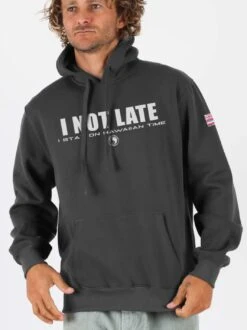 Hawaiian Time Hoodie -T&C Surf Clothing Hoody Char Front 478417