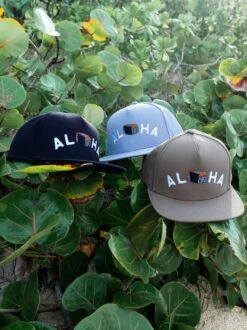 Aloha Grind Cap -T&C Surf Clothing LIFE1 3b621b87 1655 47b8 a2fd 27b44f10c3d3 459175