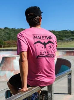 Haleiwa Iconic Jersey Tee -T&C Surf Clothing LifestyleRed 223592
