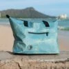 Simple Plumeria Dry Bag Tote