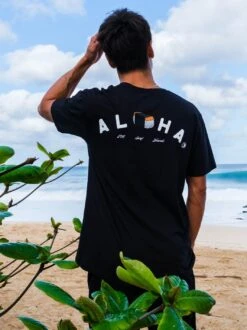 Aloha Grinds Jersey Tee 23 Aloha Grinds Jersey Tee -T&C Surf Clothing TeeBlackLIFE 8ad08500 7e86 48c4 9a2e 054f77d747b9 680466
