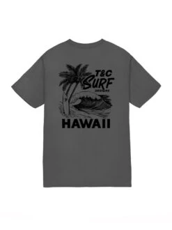 Shorebreak Jersey Tee -T&C Surf Clothing TeeCharBack 3edf4172 be36 44b8 8f53 537431e982fa