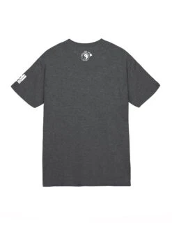 Stay Stoked Jersey Tee -T&C Surf Clothing Tee DkHtr Back