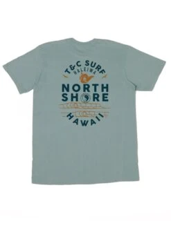 Winter Set Jersey Tee -T&C Surf Clothing Tee Sage Back 5fd95ee9 24e1 44c7 b61e efa3e3e69138